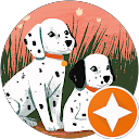 あん profile picture