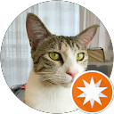 えこだねこ profile picture